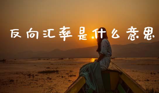 反向汇率是什么意思_https://cj002.lansai.wang_财经问答_第1张