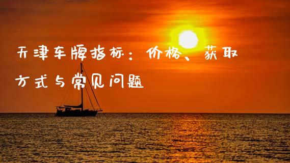 天津车牌指标：价格、获取方式与常见问题_https://cj002.lansai.wang_财经百问_第1张