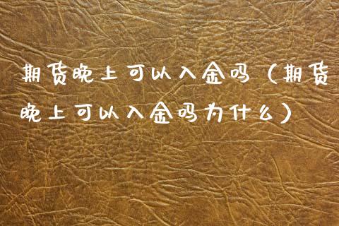 期货晚上可以入金吗（期货晚上可以入金吗为什么）_https://cj002.lansai.wang_股市问答_第1张