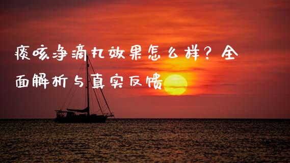 痰咳净滴丸效果怎么样？全面解析与真实反馈_https://cj002.lansai.wang_保险问答_第1张