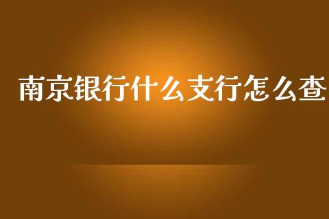 南京银行什么支行怎么查_https://cj002.lansai.wang_金融问答_第1张
