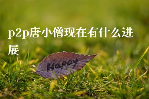 p2p唐小僧现在有什么进展_https://cj002.lansai.wang_股市问答_第1张