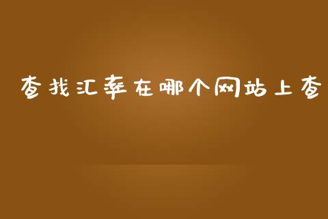 查找汇率在哪个网站上查_https://cj002.lansai.wang_财经问答_第1张