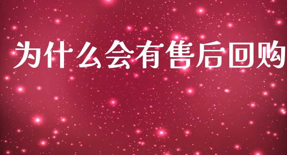 为什么会有售后回购_https://cj002.lansai.wang_会计问答_第1张