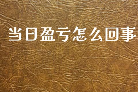 当日盈亏怎么回事_https://cj002.lansai.wang_期货问答_第1张
