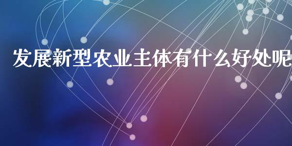 发展新型农业主体有什么好处呢_https://cj002.lansai.wang_期货问答_第1张