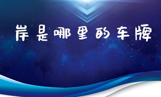 岸是哪里的车牌_https://cj002.lansai.wang_会计问答_第1张