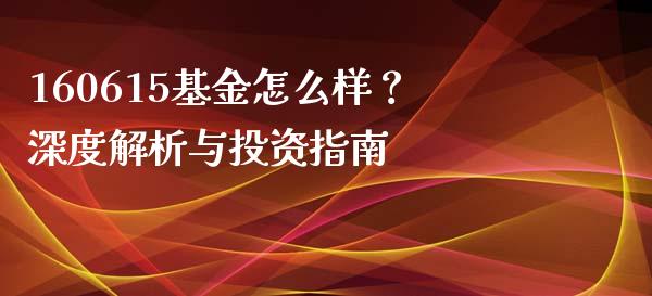 160615基金怎么样？深度解析与投资指南_https://cj002.lansai.wang_会计问答_第1张