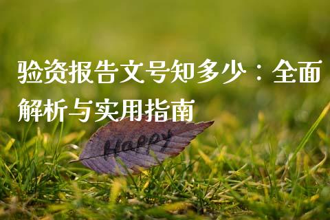 验资报告文号知多少：全面解析与实用指南_https://cj002.lansai.wang_财经问答_第1张