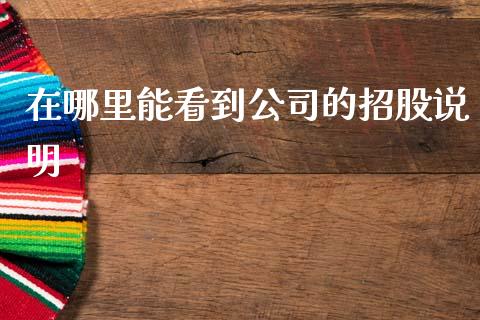 在哪里能看到公司的招股说明_https://cj002.lansai.wang_股市问答_第1张