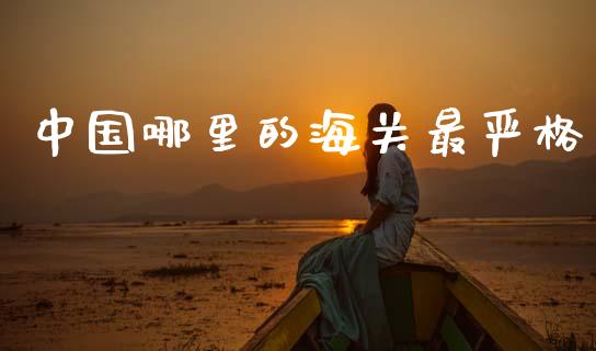 中国哪里的海关最严格_https://cj002.lansai.wang_期货问答_第1张