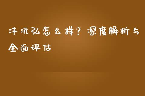 沣沅弘怎么样？深度解析与全面评估_https://cj002.lansai.wang_财经问答_第1张