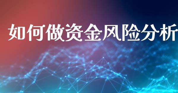 如何做资金风险分析_https://cj002.lansai.wang_财经问答_第1张
