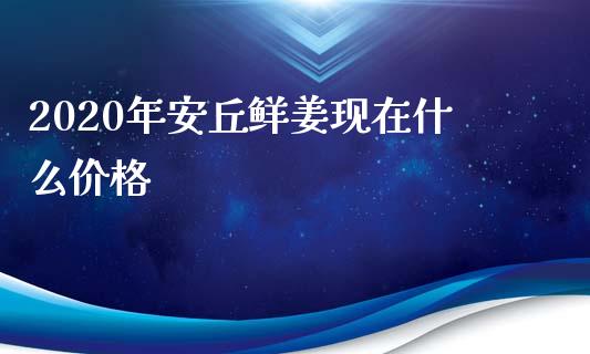 2020年安丘鲜姜现在什么价格_https://cj002.lansai.wang_财经问答_第1张