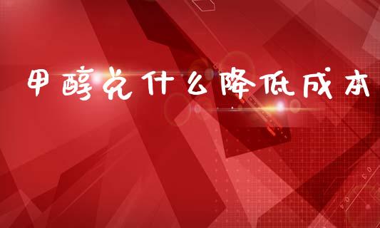 甲醇兑什么降低成本_https://cj002.lansai.wang_财经百问_第1张
