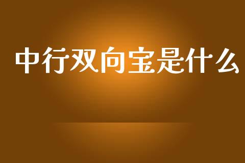 中行双向宝是什么_https://cj002.lansai.wang_财经问答_第1张