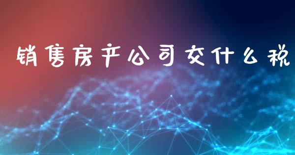 销售房产公司交什么税_https://cj002.lansai.wang_会计问答_第1张