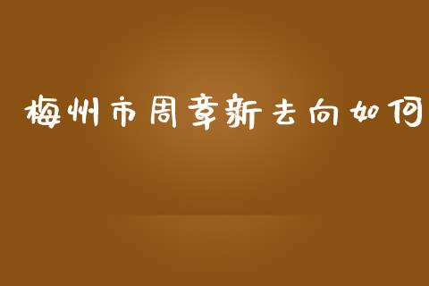 梅州市周章新去向如何_https://cj002.lansai.wang_金融问答_第1张