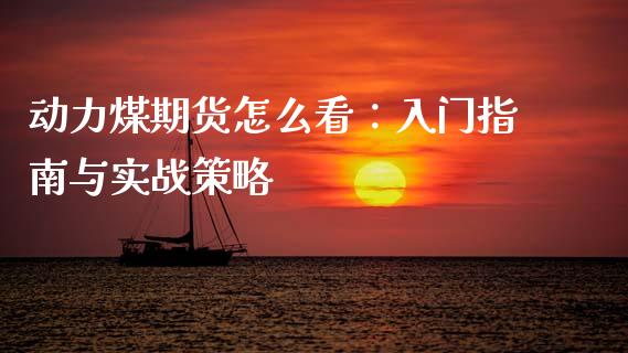 动力煤期货怎么看：入门指南与实战策略_https://cj002.lansai.wang_期货问答_第1张