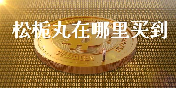 松栀丸在哪里买到_https://cj002.lansai.wang_理财问答_第1张