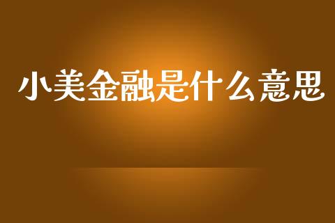 小美金融是什么意思_https://cj002.lansai.wang_期货问答_第1张