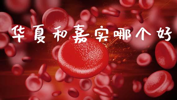 华夏和嘉实哪个好_财经百问_第1张_财经百问网 华夏和嘉实哪个好_https://cj002.lansai.wang_财经百问_第1张