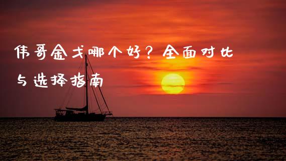 伟哥金戈哪个好？全面对比与选择指南_https://cj002.lansai.wang_理财问答_第1张