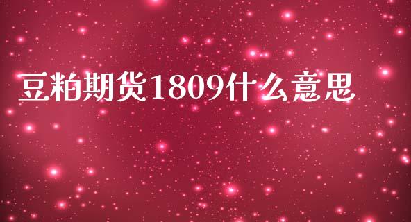 豆粕期货1809什么意思_https://cj002.lansai.wang_期货问答_第1张