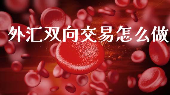 外汇双向交易怎么做_https://cj002.lansai.wang_财经问答_第1张