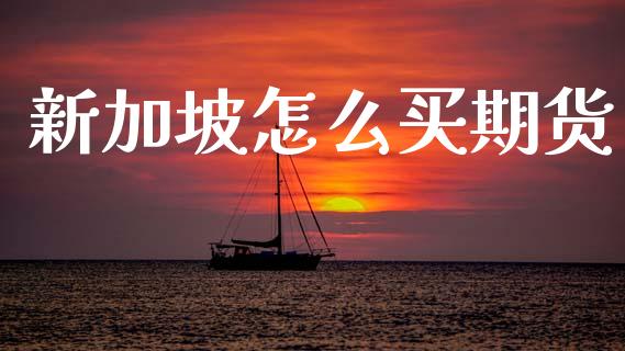 新加坡怎么买期货_https://cj002.lansai.wang_财经问答_第1张