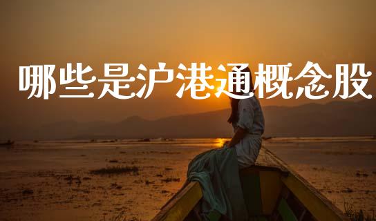 哪些是沪港通概念股_理财问答_第1张_财经百问网 哪些是沪港通概念股_https://cj002.lansai.wang_理财问答_第1张