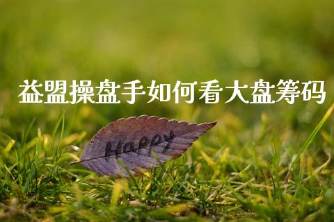 益盟操盘手如何看大盘筹码_https://cj002.lansai.wang_股市问答_第1张