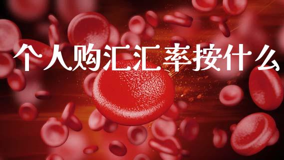 个人购汇汇率按什么_https://cj002.lansai.wang_金融问答_第1张