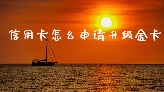 信用卡怎么申请升级金卡_https://cj002.lansai.wang_金融问答_第1张