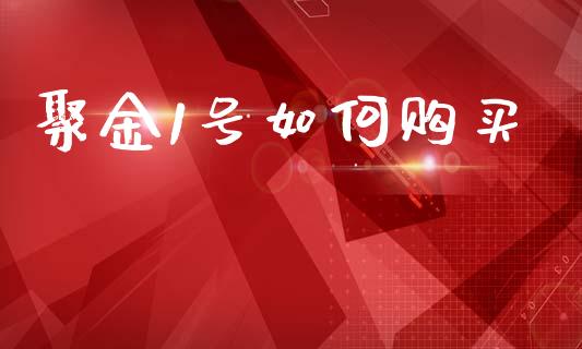 聚金1号如何购买_https://cj002.lansai.wang_财经问答_第1张