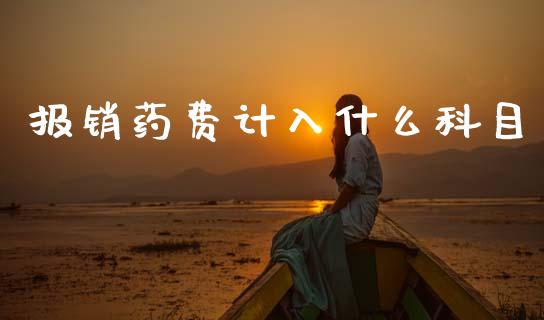 报销药费计入什么科目_https://cj002.lansai.wang_会计问答_第1张