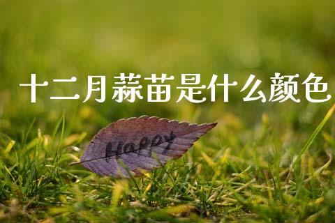 十二月蒜苗是什么颜色_https://cj002.lansai.wang_金融问答_第1张