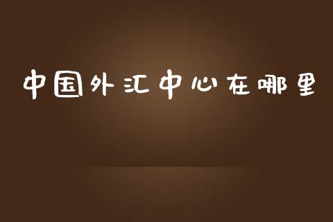 中国外汇中心在哪里_https://cj002.lansai.wang_财经问答_第1张