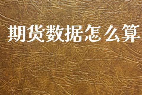 期货数据怎么算_https://cj002.lansai.wang_期货问答_第1张