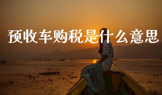 预收车购税是什么意思_https://cj002.lansai.wang_会计问答_第1张