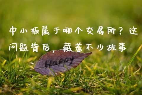 中小板属于哪个交易所？这问题背后，藏着不少故事_https://cj002.lansai.wang_会计问答_第1张