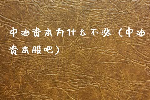 中油资本为什么不涨（中油资本股吧）_https://cj002.lansai.wang_金融问答_第1张