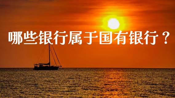 哪些银行属于国有银行？_https://cj002.lansai.wang_会计问答_第1张