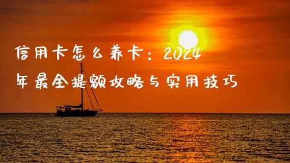 信用卡怎么养卡：2024年最全提额攻略与实用技巧_https://cj002.lansai.wang_金融问答_第1张