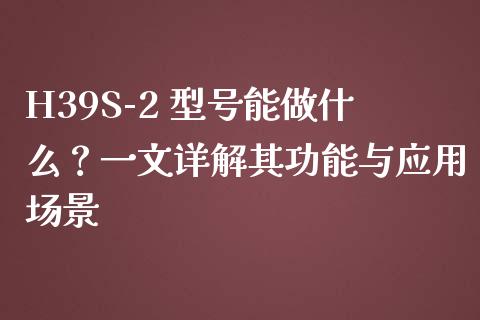 H39S-2 型号能做什么？一文详解其功能与应用场景_https://cj002.lansai.wang_股市问答_第1张