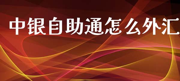 中银自助通怎么外汇_https://cj002.lansai.wang_理财问答_第1张