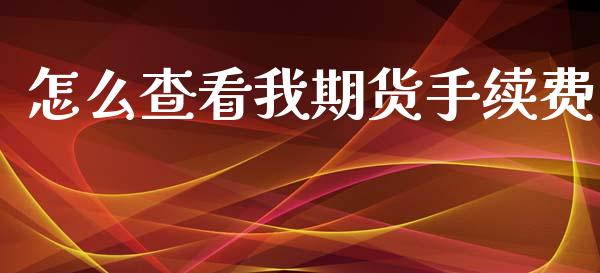 怎么查看我期货手续费_财经问答_第1张_财经百问网 怎么查看我期货手续费_https://cj002.lansai.wang_财经问答_第1张