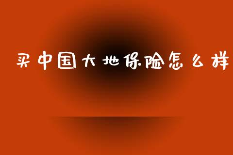 买中国大地保险怎么样_https://cj002.lansai.wang_保险问答_第1张