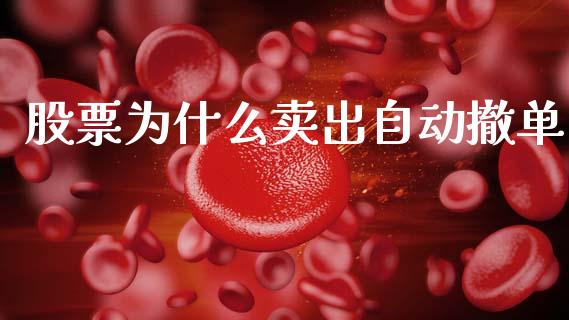 股票为什么卖出自动撤单_https://cj002.lansai.wang_期货问答_第1张