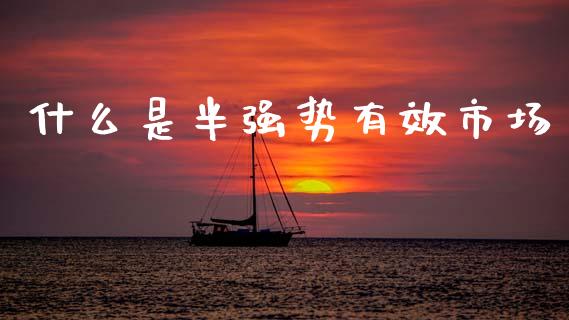 什么是半强势有效市场_https://cj002.lansai.wang_会计问答_第1张
